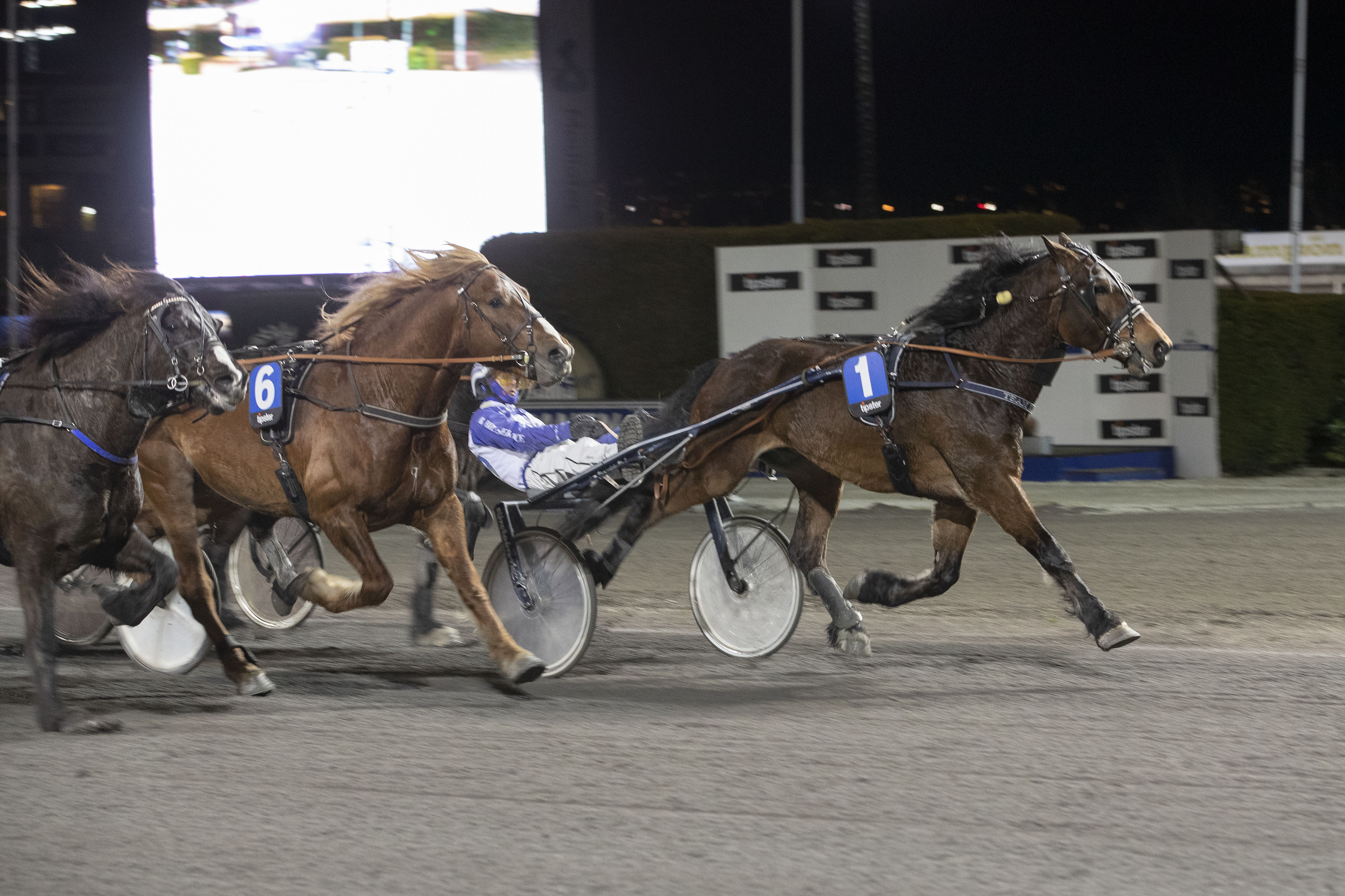Solmyr Arvid/Vidar Hop - Geir Kihle