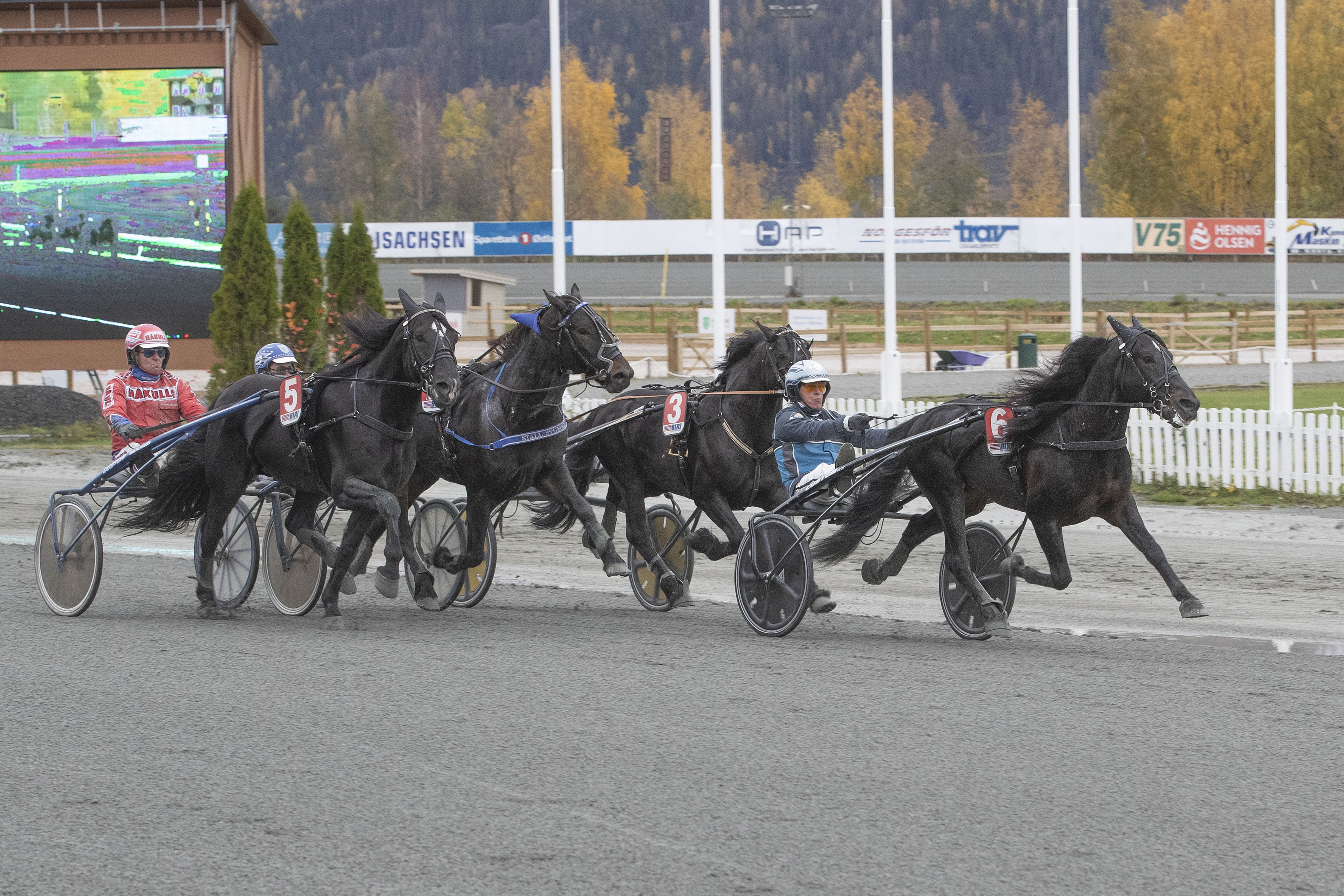 Troll Solen/Frode Hamre Vinner Vintillatravet2020: Troll Solen/Frode Hamre