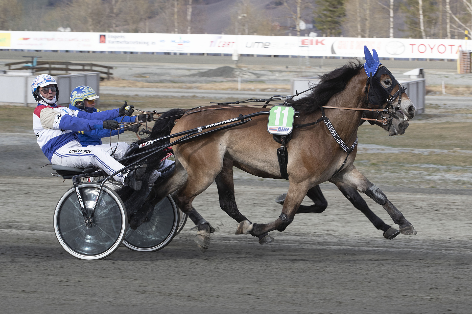 Haugs Loppa - Lars Anvar kolle