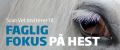 Artikkelbilde