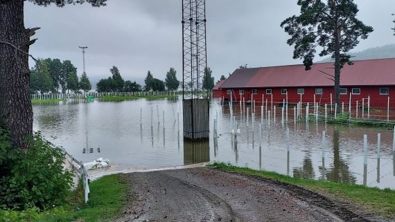 Artikkelbilde