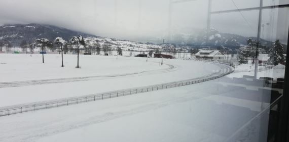 Artikkelbilde