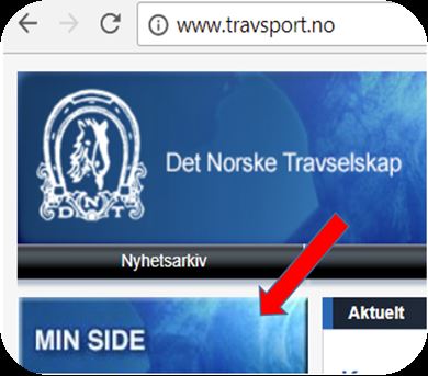 Artikkelbilde