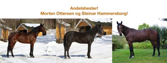 Artikkelbilde