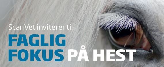Artikkelbilde