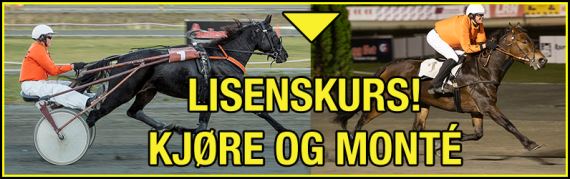 Artikkelbilde