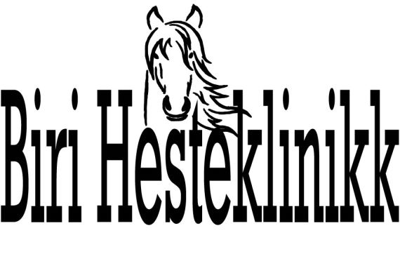 Artikkelbilde
