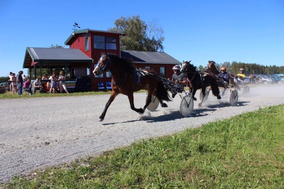 Artikkelbilde