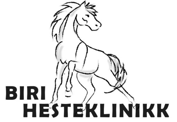 Artikkelbilde
